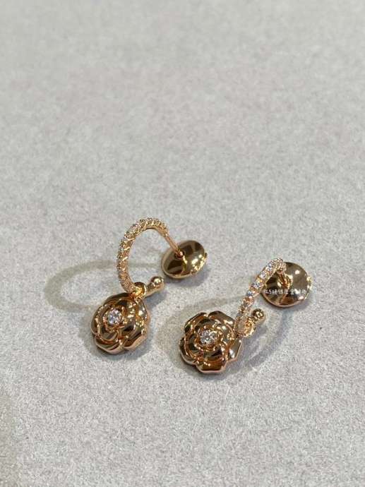 Picture of Chanel Earring _SKUChanelearring1216654836